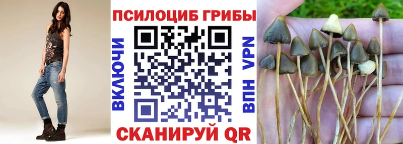 Галлюциногенные грибы мицелий  что такое   сайты даркнета наркотические препараты  Семёнов 